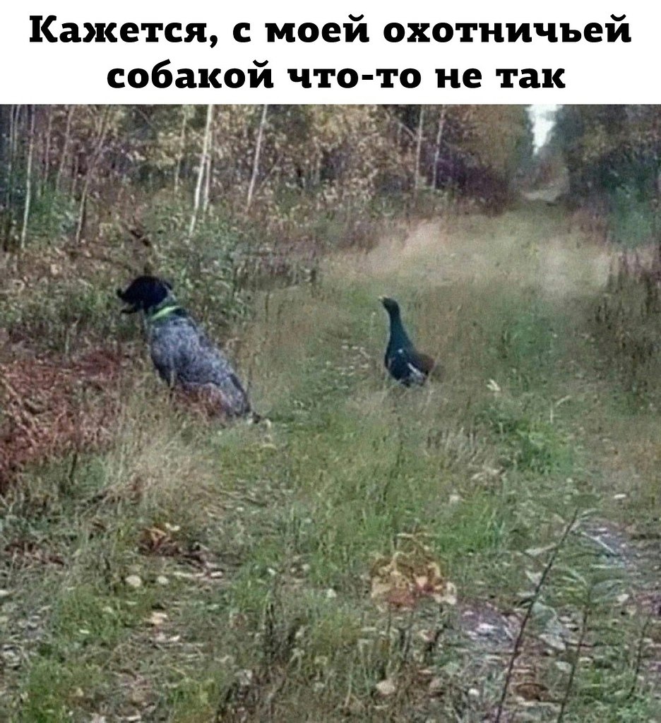 Добро пожаловать на Землю! - 28 февраля 2025 в 15:28