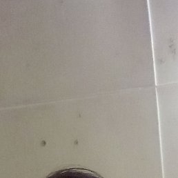 ������� ��������, ���������, 21 ���