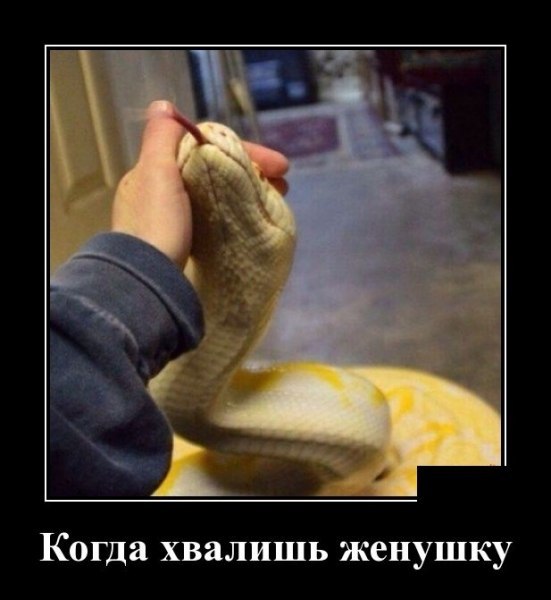 ����� - 20 ������ 2026 � 12:36