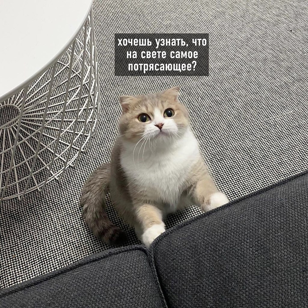 � ���� ������ ���������) - 2