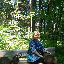 �����, ���, 41 ���