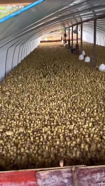 �c��a� �ep�a! �o���o �oc�o�p��e �a ��o c��a�e��ee �o���ec��o ��c��!! ����� �������