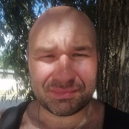 ���������, �����, 40 ���