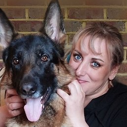 ��������, �������, 43 ����