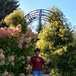 ���� ������, �����-���������, 58 ��� - ��������� 6 ������ 2023