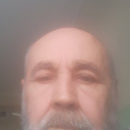 , 53 , 