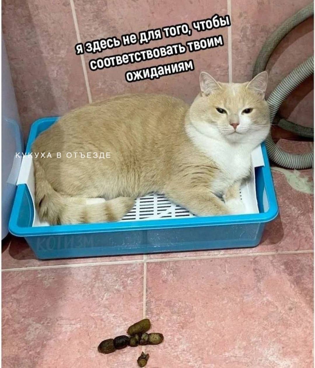 ����� - 15 ������ 2025 � 21:22