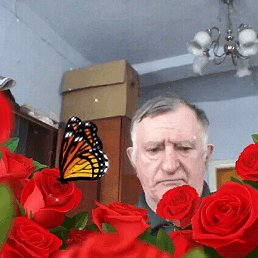 ���� ������, �������, 77 ��� - ��������� 13 ������� 2024