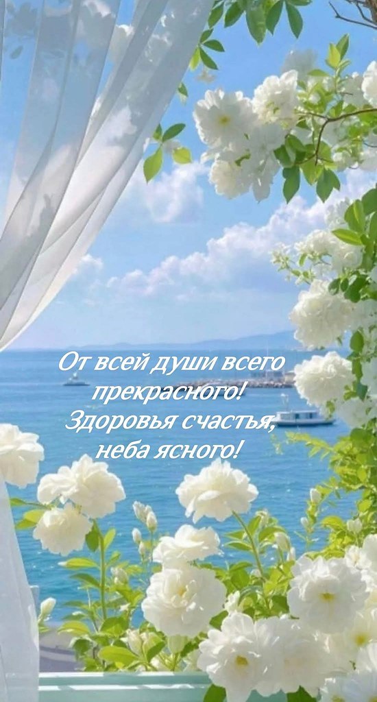 �������� ������ - 1 ��� 2026 � 07:45
