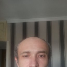 ������, 44 ����, ����