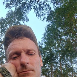 , 38, 