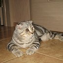 ���� �����, �������, 58 ��� - ��������� 1 ������ 2026 � ������ ���� ����������