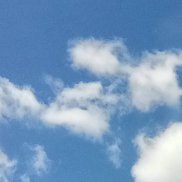 ����, 44 ����, ����