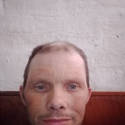 ����, 46 ���, �����-���������