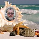 ���� ����, ������, 70 ��� - ��������� 17 ������ 2026 � ������ ���� ����������