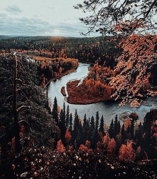 ���� ����� �������, ��� ����� ������������ � �������, ���� ������ ������ �����, ������ ������� ...