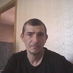 , 37, 