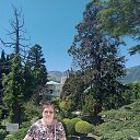  ,  , 71  -  16  2025    