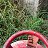 ���� Ajit Kumar, ����, 25 ��� - ��������� 2 ��� 2026