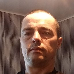 �������, �������, 37 ���