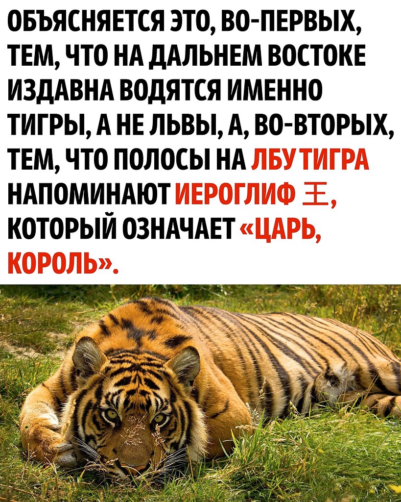     - 2