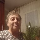 ���� ����, ���, 75 ��� - ��������� 4 ������ 2026 � ������ ���� ����������