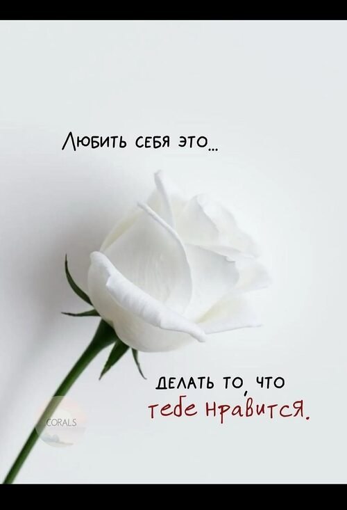 �� ����� ������! - 13 ���� 2026 � 20:32