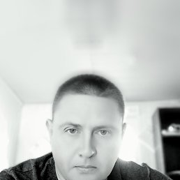 �������, 41 ���, �������