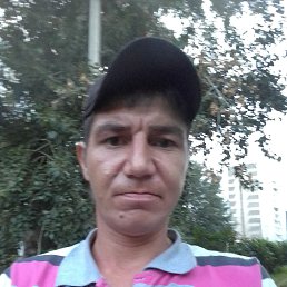 ��������, 33 ����, ����������