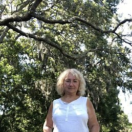 ���� �������, ��������� - ��������� 28 ������ 2025