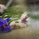 ���� L, ��������� - ��������� 13 ���� 2025 � ������ ������ ��������