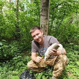 ���� �������, ������, 39 ��� - ��������� 13 ������� 2026