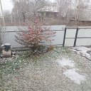 ���� �������, ��������, 44 ���� - ��������� 6 ������� 2024 � ������ ���� ����������