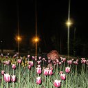���� �����, ���� - ��������� 20 ��� 2026 � ������ ���� ����������