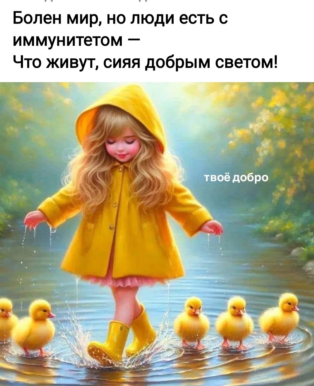*T* - 17  2024  08:26