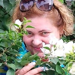 �����, ������������, 56 ���