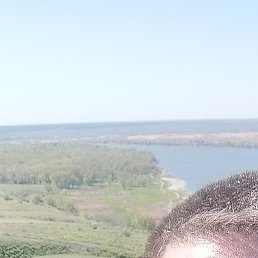 ������, ������, 41 ���