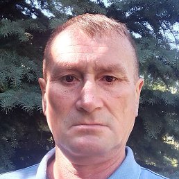 �����, ���, 49 ���