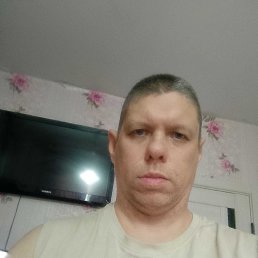 ������, 40 ���, �����