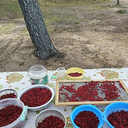 ���� ������, �����-���������, 70 ��� - ��������� 3 ����� 2025