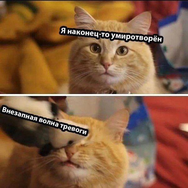    - 3  2024  06:43