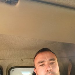 , 34, 