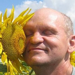 �����, ���������, 54 ����