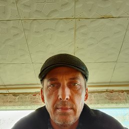 , 46 , 