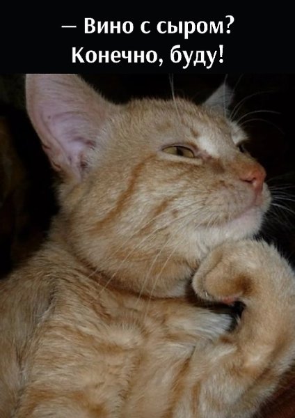       - 10  2025  21:48 - 2