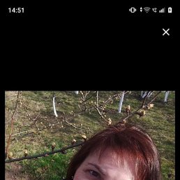 , 34 , 