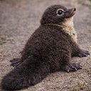 ���� �������� ����, ����� - ��������� 21 ������� 2026 � ������ ������ ��������