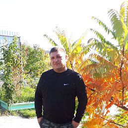 �������, �������, 49 ���