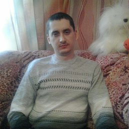 , 41, 