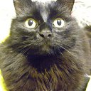 ���� �������, ������� - ��������� 15 ������ 2025 � ������ ������ ��������